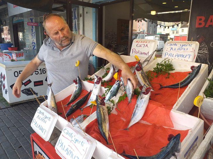 Zonguldak'ta sezonun ilk palamutlarının bolluğu balıkçıları umutlandırdı G4