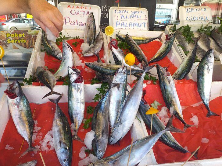 Zonguldak'ta sezonun ilk palamutlarının bolluğu balıkçıları umutlandırdı G5