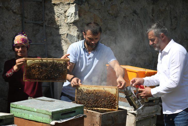 Anzer Yaylası'nda bal sağımına başlandı G1