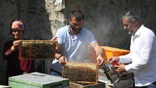 Anzer Yaylası'nda bal sağımına başlandı