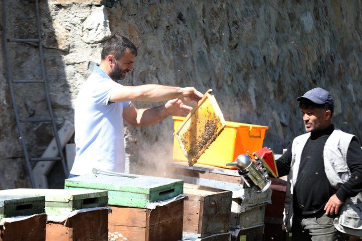 2 milyon lira kazandıracak! Dünyaca ünlü anzer balına talep patlaması: 1 kilosu bile 2 bin TL G1