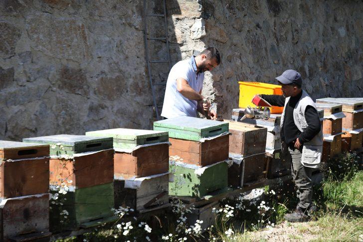 2 milyon lira kazandıracak! Dünyaca ünlü anzer balına talep patlaması: 1 kilosu bile 2 bin TL G2