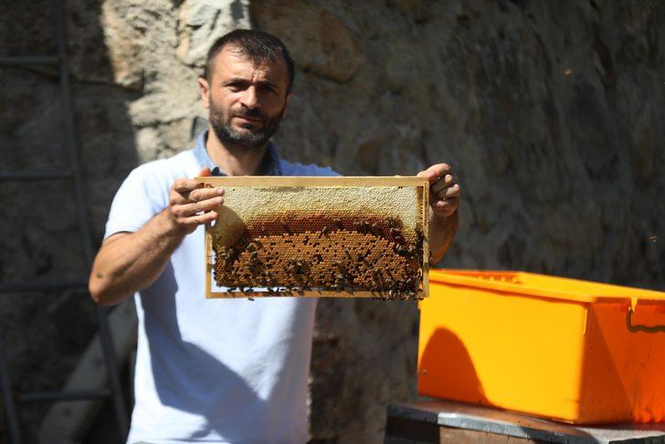 2 milyon lira kazandıracak! Dünyaca ünlü anzer balına talep patlaması: 1 kilosu bile 2 bin TL G3