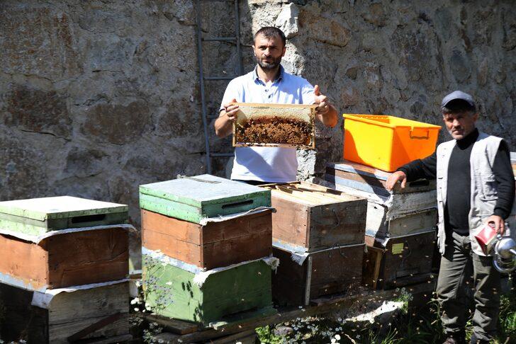 Anzer Yaylası'nda bal sağımına başlandı G5