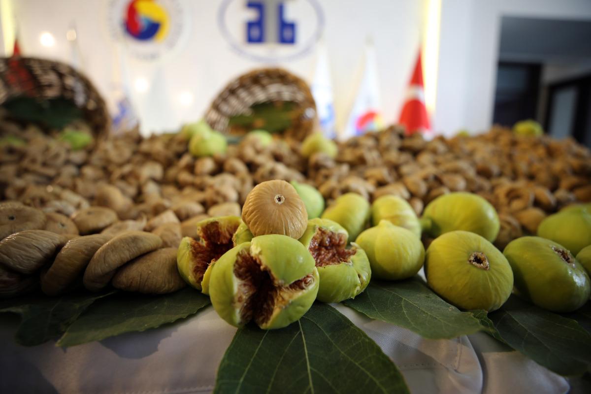 Aydın'da sezonun ilk kuru incirine 350 liralık "sembolik fiyat"