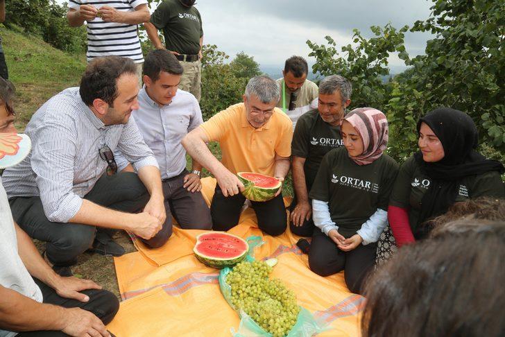 Ordu'da FINVER bahçelerinde fındık hasadı başladı G3