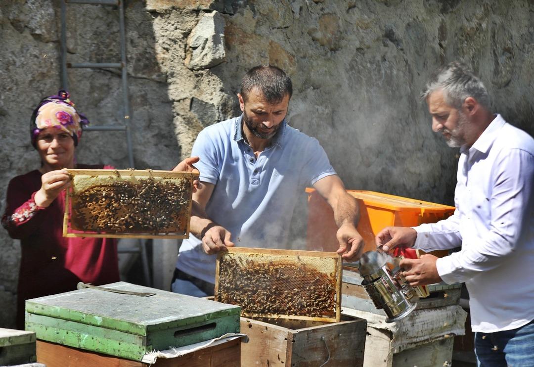2 milyon lira kazandıracak! D&uuml;nyaca &uuml;nl&uuml; anzer balına talep patlaması: 1 kilosu bile 2 bin TL