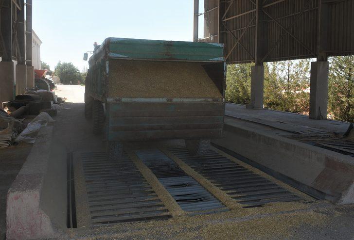 Kırşehir'de 375 bin ton arpa, 200 bin ton buğday hasat edildi G2