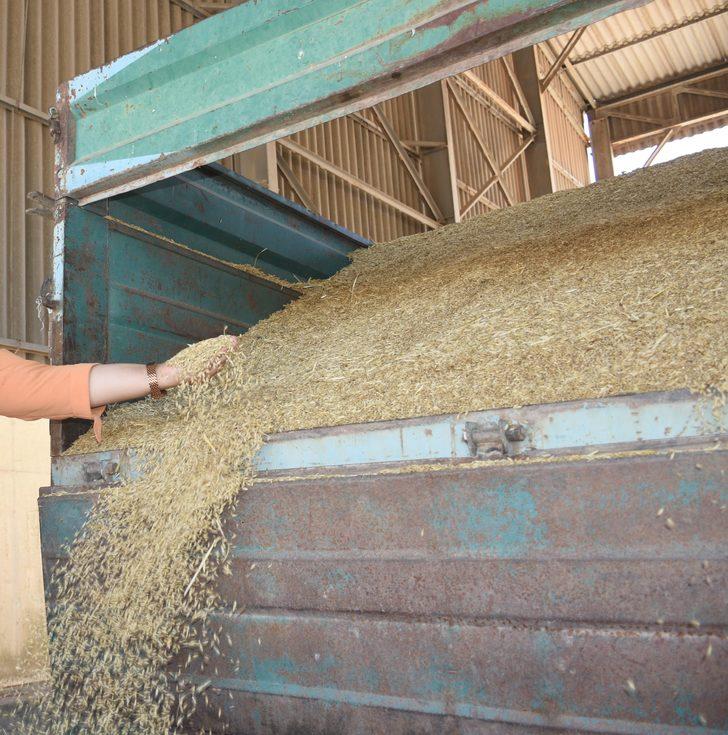 Kırşehir'de 375 bin ton arpa, 200 bin ton buğday hasat edildi G3