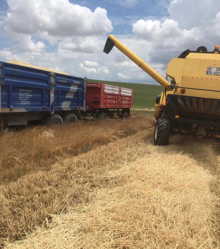 Kırşehir'de 375 bin ton arpa, 200 bin ton buğday hasat edildi G5