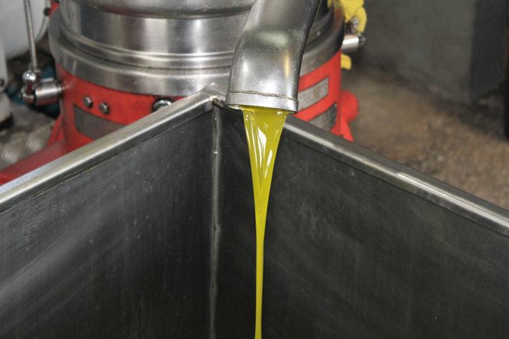 Avrupa’daki kuraklık dengeleri değiştirdi! Zeytinyağını artık Türkiye’den alacaklar G3