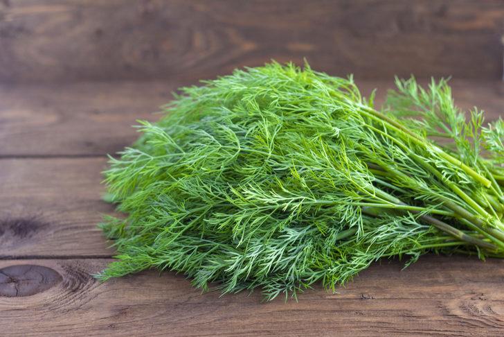 Tiroide iyi gelir, kansere karşı korur, kalp hastalıkları riskini azaltır... Dereotunun şaşkınlık yaratan faydaları G2