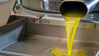 Avrupa’daki kuraklık dengeleri değiştirdi! Zeytinyağını artık Türkiye’den alacaklar