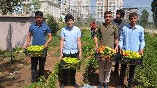 Muş'ta öğretmen ve öğrenciler yetiştirdikleri ürünleri ihtiyaç sahiplerine ulaştırıyor