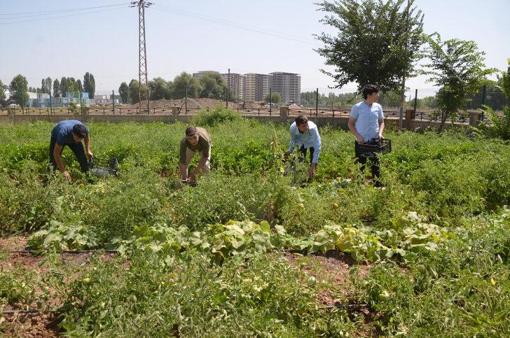 Muş'ta öğretmen ve öğrenciler yetiştirdikleri ürünleri ihtiyaç sahiplerine ulaştırıyor G2