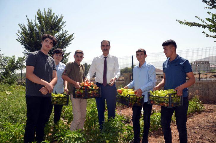 Muş'ta öğretmen ve öğrenciler yetiştirdikleri ürünleri ihtiyaç sahiplerine ulaştırıyor G3