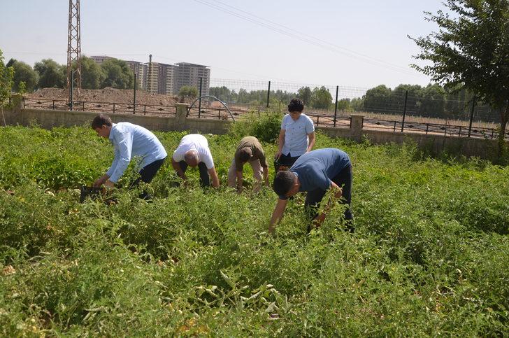Muş'ta öğretmen ve öğrenciler yetiştirdikleri ürünleri ihtiyaç sahiplerine ulaştırıyor G5