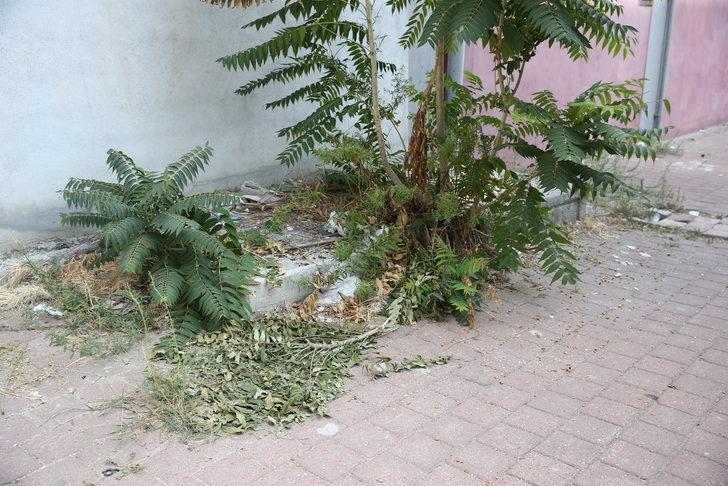 Adana'da 4. kattan düşen çocuk ağır yaralandı G1