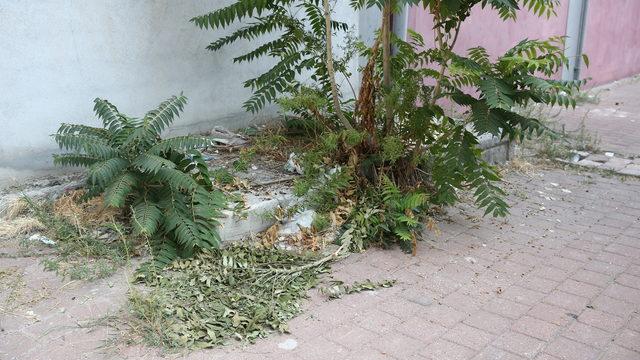 GÜNCELLEME - Adana'da 4. kattan düşen çocuk hayatını kaybetti