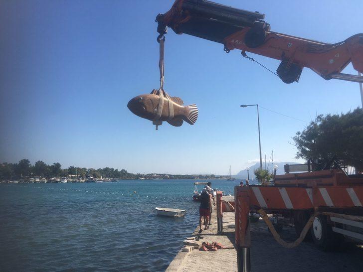 Datça'da plaja 10 tonluk orfoz heykeli yerleştirildi G2