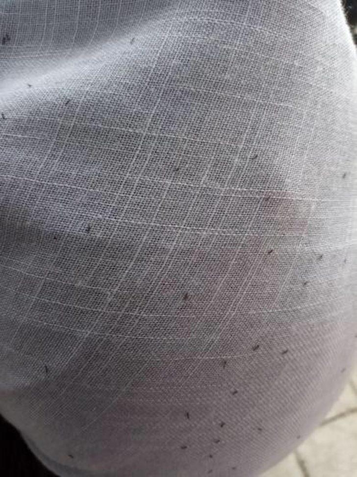 Çok sıkı tutunuyor, iz bırakıyor! O ilçedeki herkesi canından bezdirdi G2