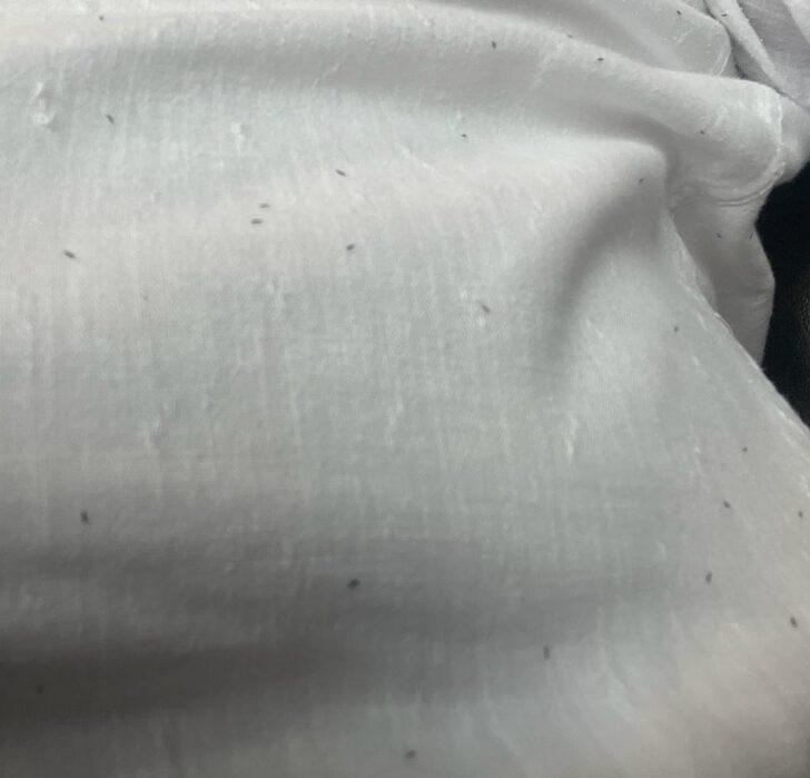 Çok sıkı tutunuyor, iz bırakıyor! O ilçedeki herkesi canından bezdirdi G4