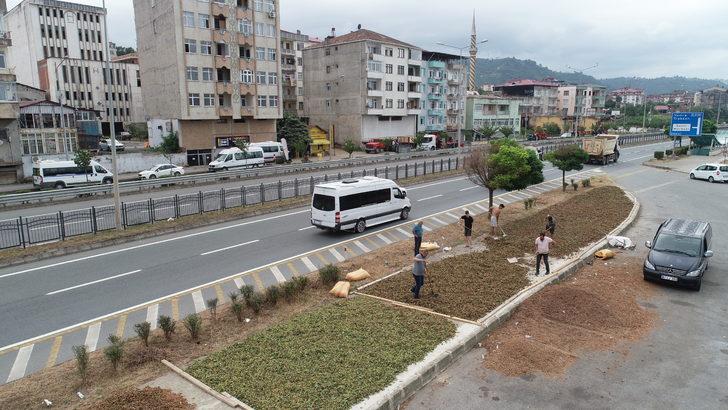 Trabzonlu üreticilerin fındık kurutma mesaisi G1