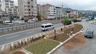 Trabzonlu üreticilerin fındık kurutma mesaisi