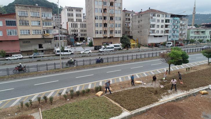 Trabzonlu üreticilerin fındık kurutma mesaisi G2