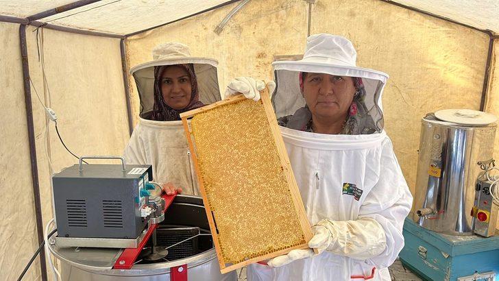 Isparta'da bal hasadına başlandı G1