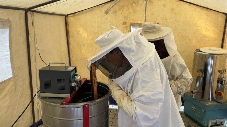 Isparta'da bal hasadına başlandı G2