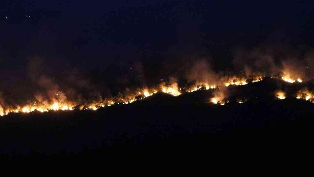 Bulgaristan'daki yangın büyüyor! Edirne'nin sınır köylerine kadar dayandı