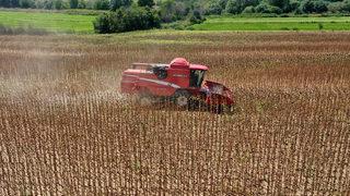 Türkiye'nin önemli ayçiçeği üretim merkezlerinden Edirne'de hasat mesaisi başladı