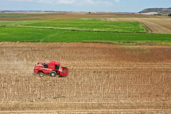Türkiye'nin önemli ayçiçeği üretim merkezlerinden Edirne'de hasat mesaisi başladı G3