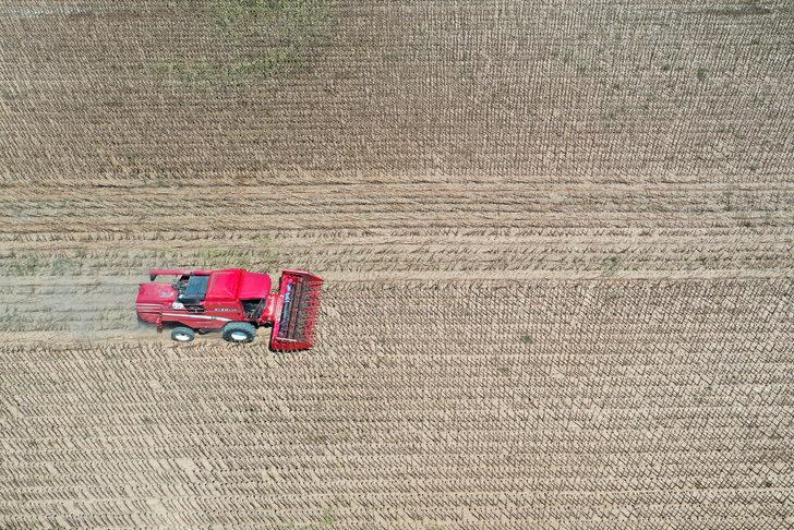 Türkiye'nin önemli ayçiçeği üretim merkezlerinden Edirne'de hasat mesaisi başladı G4