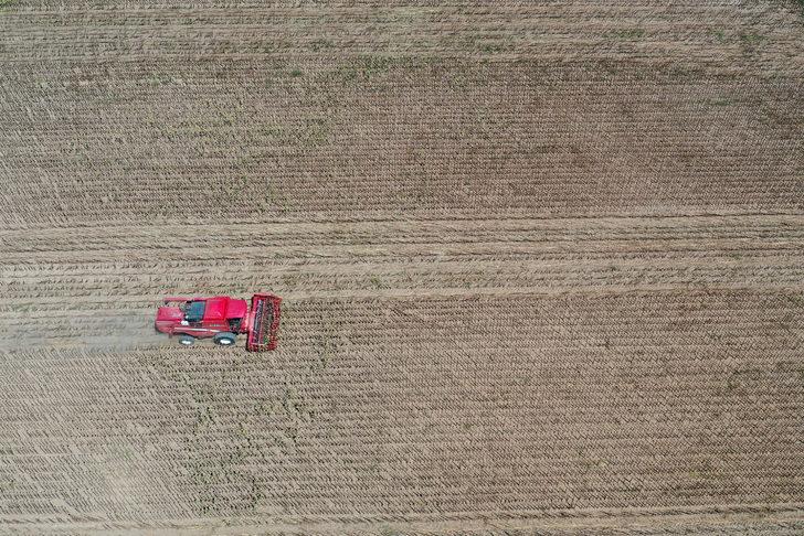 Türkiye'nin önemli ayçiçeği üretim merkezlerinden Edirne'de hasat mesaisi başladı G5