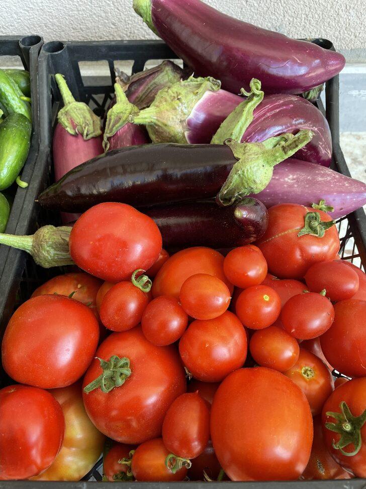 Aşevinin sebzeleri kaymakamlığın oluşturduğu bahçeden karşılanıyor G3