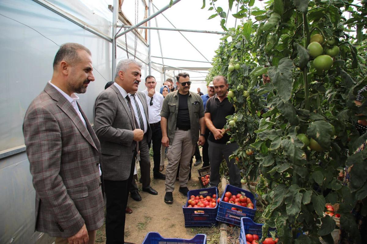 Ahıska T&uuml;rkleri seralarda yetiştirdikleri sebzelerle ekonomiye katkı sağlıyor