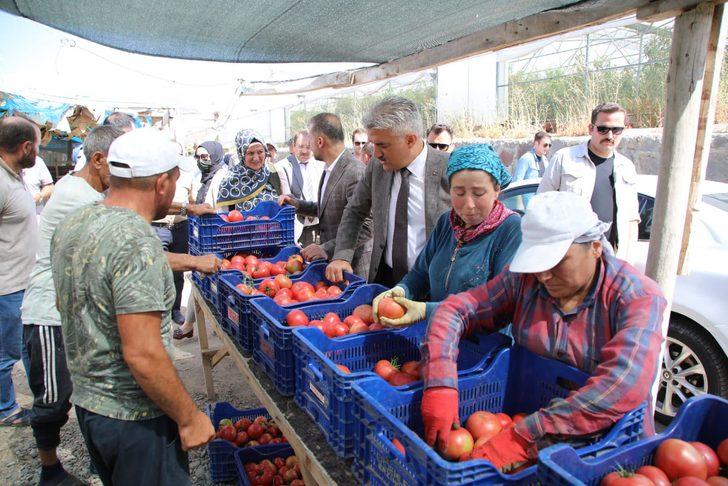 Ahıska Türkleri seralarda yetiştirdikleri sebzelerle ekonomiye katkı sağlıyor G2