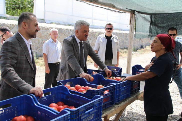 Ahıska Türkleri seralarda yetiştirdikleri sebzelerle ekonomiye katkı sağlıyor G3