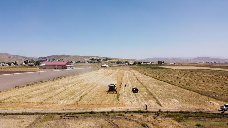 Van'da hasadı yapılan "destek tohumu"ndaki verim çiftçiyi sevindirdi G2