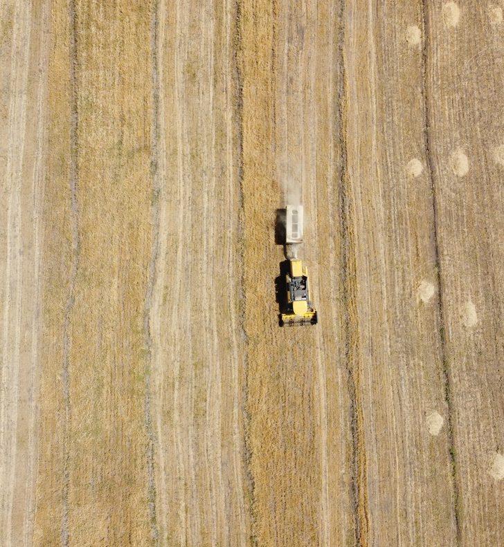 Van'da hasadı yapılan "destek tohumu"ndaki verim çiftçiyi sevindirdi G3
