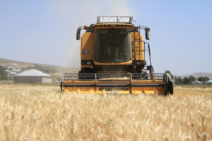 Van'da hasadı yapılan "destek tohumu"ndaki verim çiftçiyi sevindirdi G5