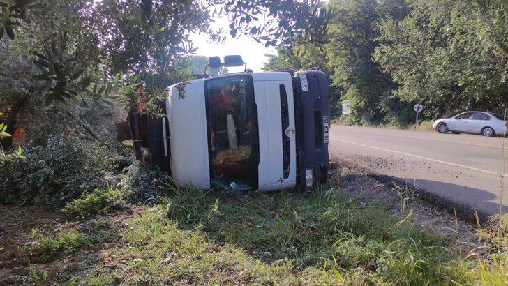 Bursa'da zeytinliğe devrilen tırdaki tavuklardan bazıları telef oldu G2