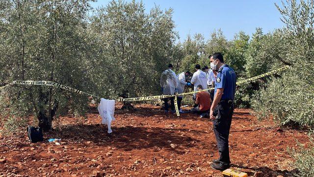 Antalya'da zeytinlikte erkek cesedi bulundu