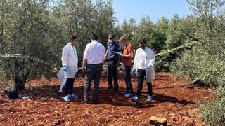 Antalya'da zeytinlikte erkek cesedi bulundu