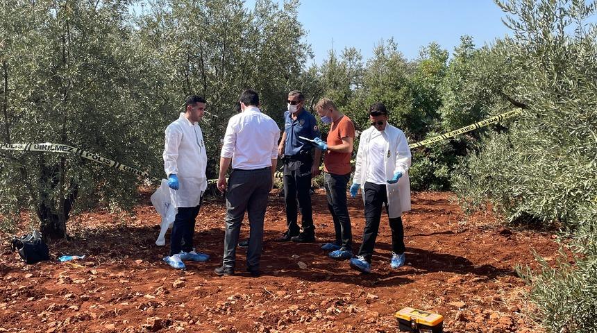 Antalya'da zeytinlikte erkek cesedi bulundu