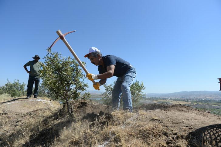 Bingöl'deki Sebeterias Kalesi'nin tarihi dokusu ortaya çıkarılacak G5