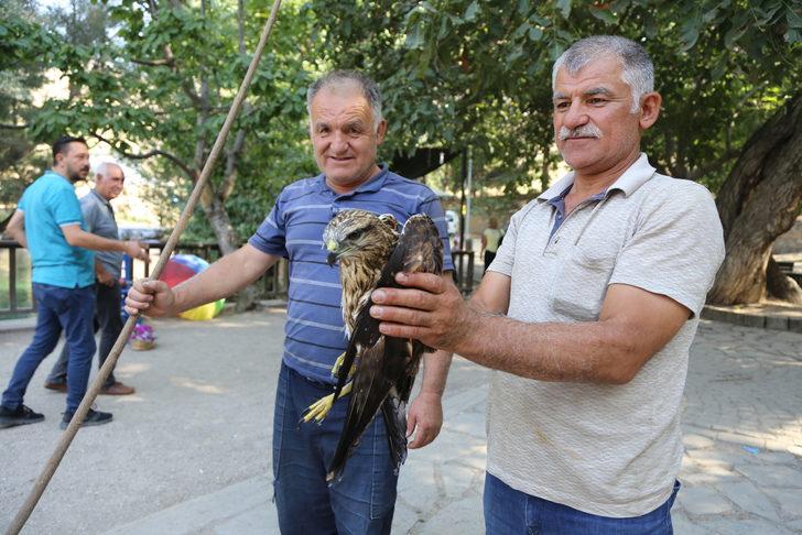 Konya'da bitkin halde bulunan şahin yavrusu tedaviye alındı G2