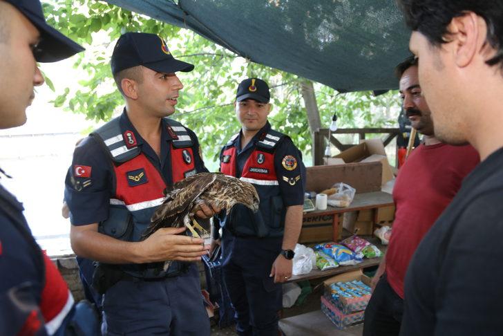 Konya'da bitkin halde bulunan şahin yavrusu tedaviye alındı G3